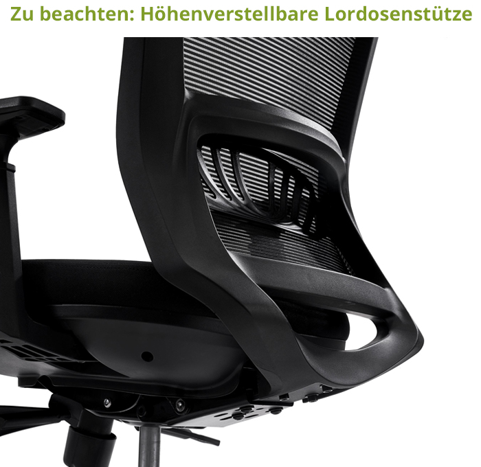 Lordosenstütze Pro 3.0- Schwarz-Weiß, Druck verstellbar, extra