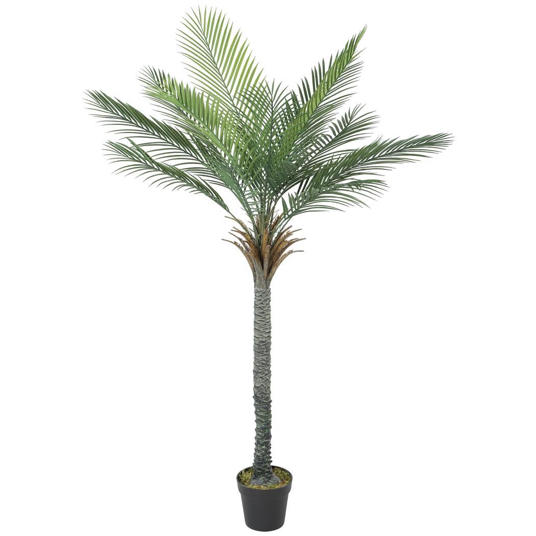 Büropflanze FLOE, Höhe 180 cm, künstliche Palme inklusive Topf
