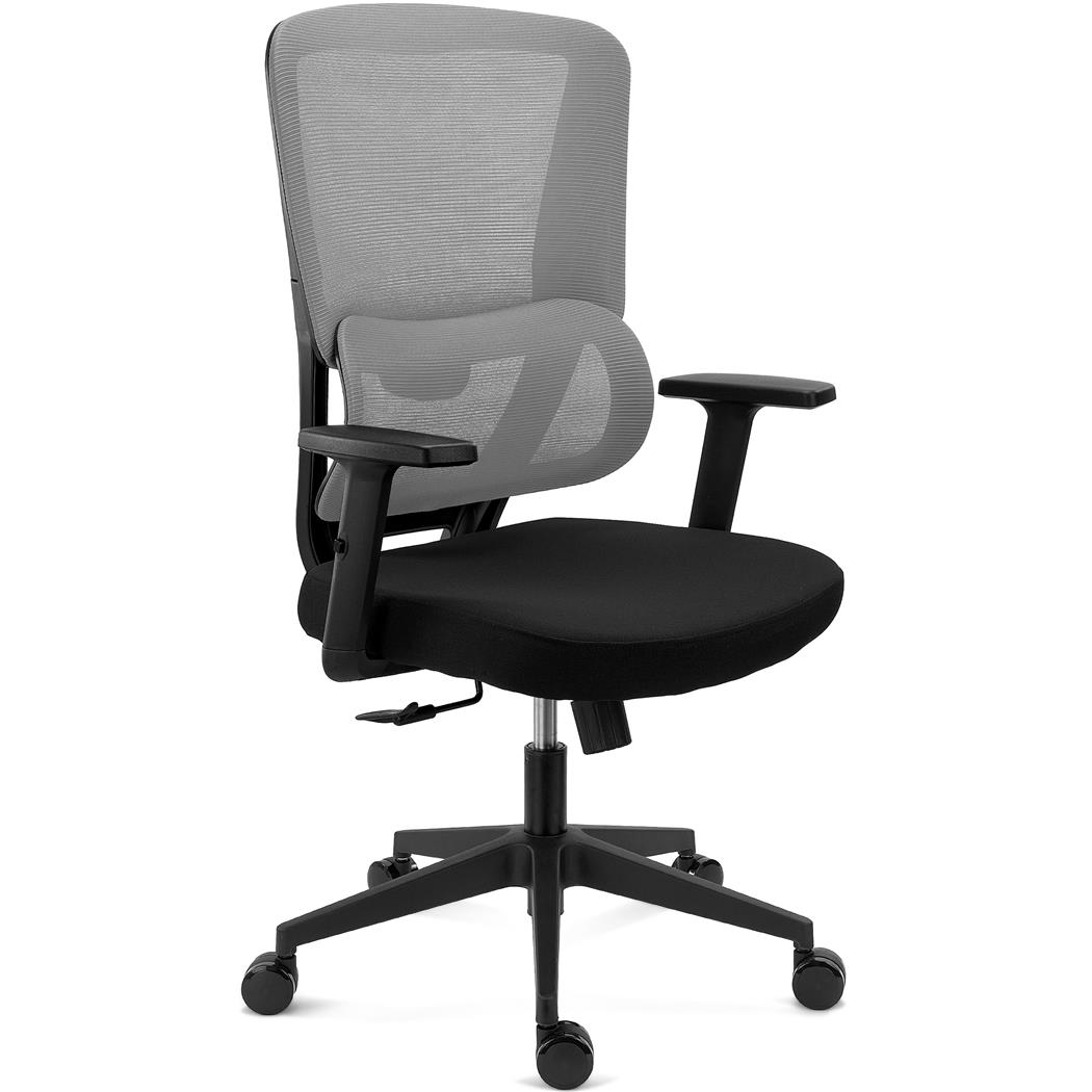 Ergonomischer Bürostuhl SUPRA, Lordosenstütze, Netzstoff-Rückenlehne, Farbe Grau