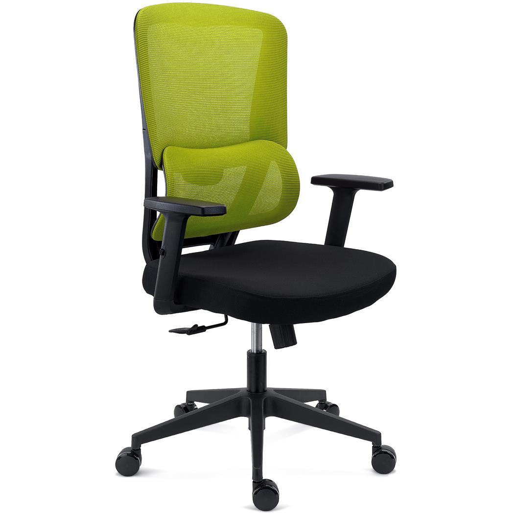 Ergonomischer Bürostuhl SUPRA, Lordosenstütze, Netzstoff-Rückenlehne, Farbe Grün