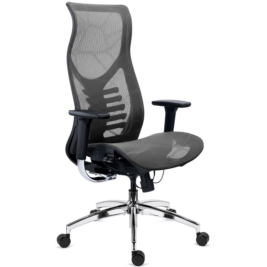Ergonomischer Bürostuhl VICTUS, Exklusives Design, Tiefenverstellbarer Sitz, Farbe Grau
