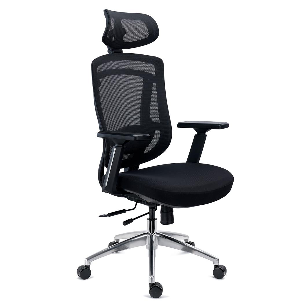 Ergonomischer Bürostuhl ASTON, professioneller Einsatz, verstellbare Lordosenstütze, Netzstoff und Stoff,Schwarz