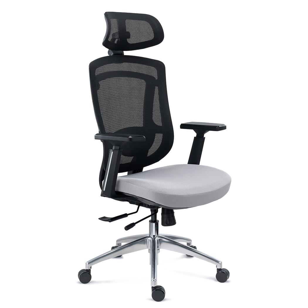 Ergonomischer Bürostuhl ASTON, professioneller Einsatz, verstellbare Lordosenstütze, Netzstoff und Stoff, Grau