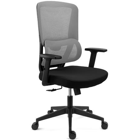 Ergonomischer Bürostuhl SUPRA, Lordosenstütze, Netzstoff-Rückenlehne, Farbe Grau
