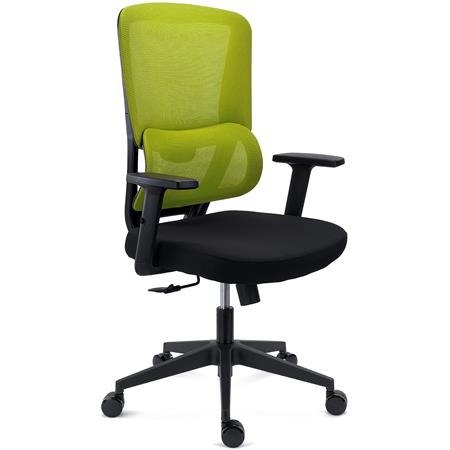 Ergonomischer Bürostuhl SUPRA, Lordosenstütze, Netzstoff-Rückenlehne, Farbe Grün