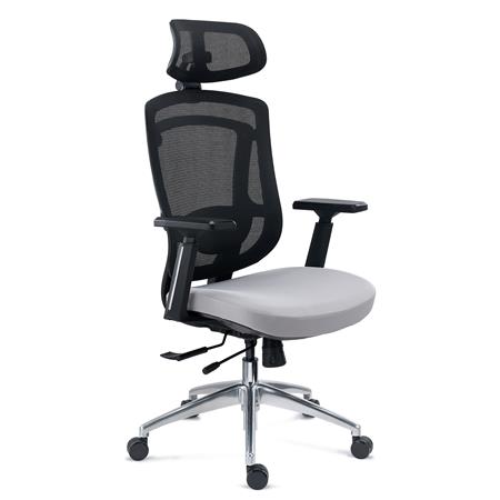 Ergonomischer Bürostuhl ASTON, professioneller Einsatz, verstellbare Lordosenstütze, Netzstoff und Stoff, Grau